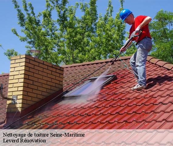 Nettoyage de toiture 76 Seine-Maritime  Entreprise BENONI 76