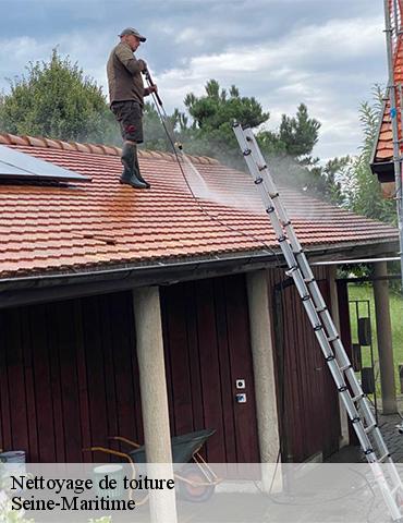 Nettoyage de toiture 76 Seine-Maritime Entreprise BENONI 76
