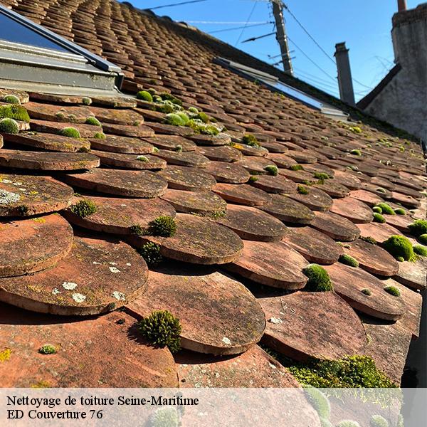Nettoyage de toiture 76 Seine-Maritime  ED Couverture 76