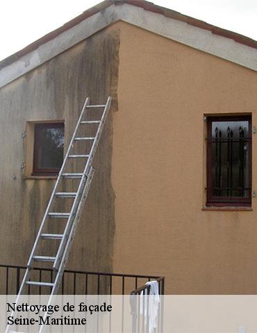 Nettoyage de façade 76 Seine-Maritime Entreprise BENONI 76