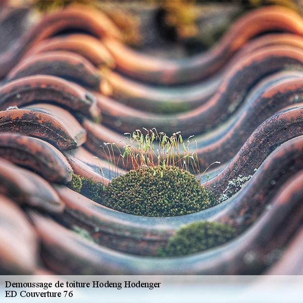 Demoussage de toiture hodeng-hodenger-76780 ED Couverture 76