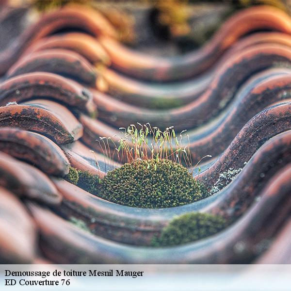 Demoussage de toiture mesnil-mauger-76440 ED Couverture 76