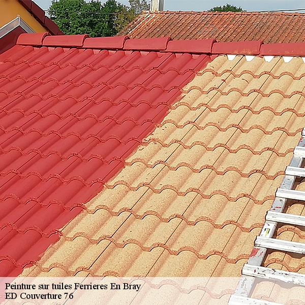 Peinture sur tuiles ferrieres-en-bray-76220 ED Couverture 76