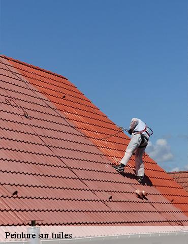 Peinture sur tuiles malleville-les-gres-76450 ED Couverture 76