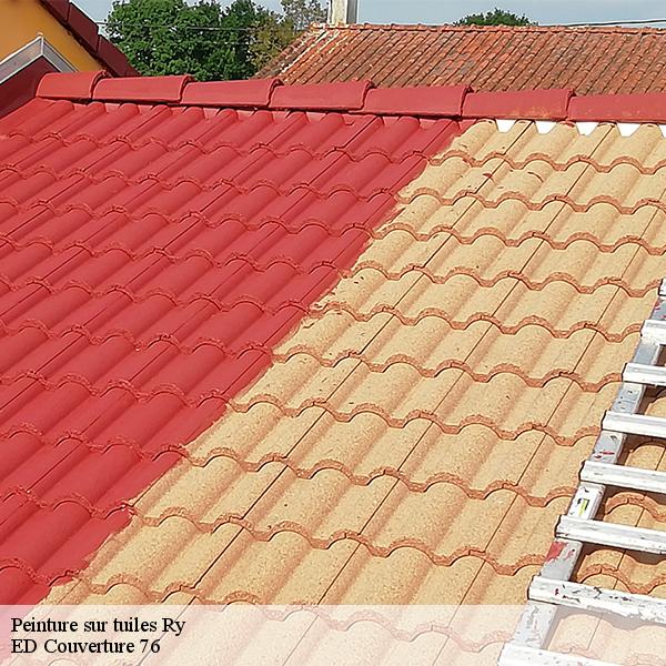 Peinture sur tuiles ry-76116 ED Couverture 76