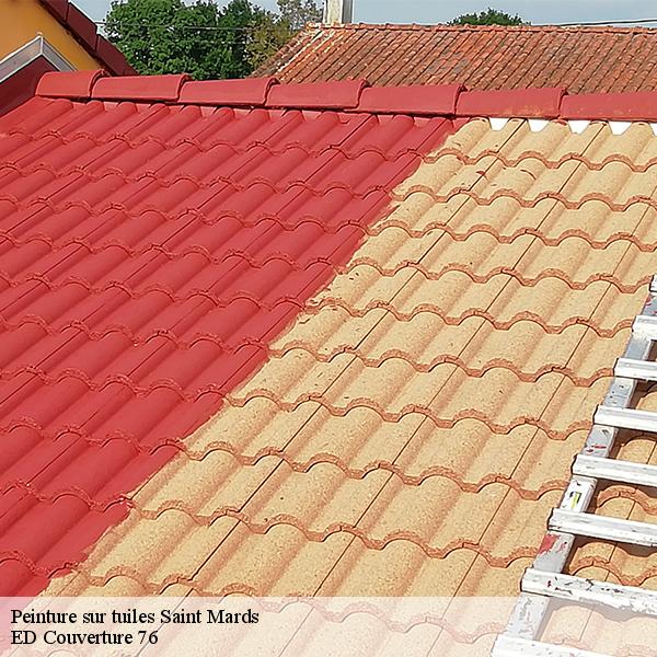 Peinture sur tuiles saint-mards-76730 ED Couverture 76