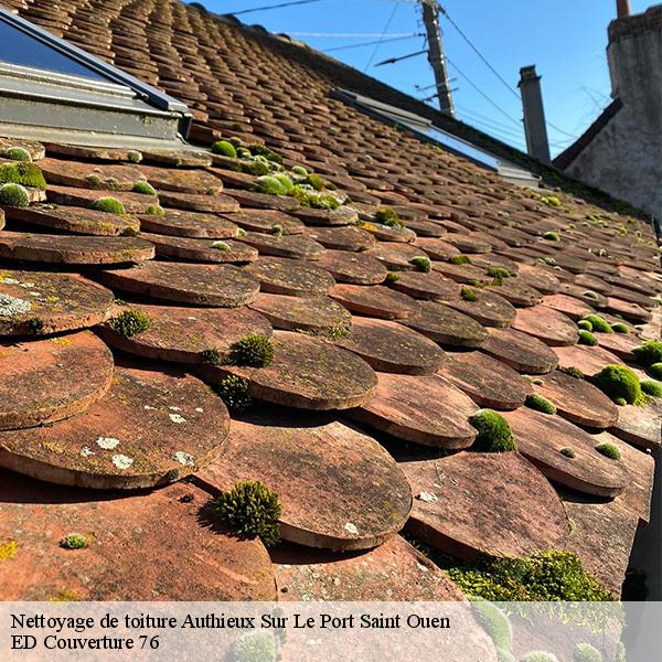 Nettoyage de toiture authieux-sur-le-port-saint-ouen-76520 ED Couverture 76