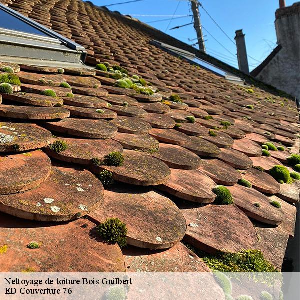 Nettoyage de toiture bois-guilbert-76750 ED Couverture 76