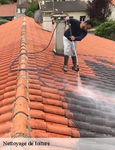 Nettoyage de toiture heugleville-sur-scie-76720 ED Couverture 76
