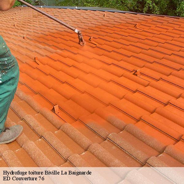 Hydrofuge toiture biville-la-baignarde-76890 ED Couverture 76