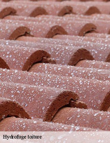 Hydrofuge toiture bracquetuit-76850 ED Couverture 76