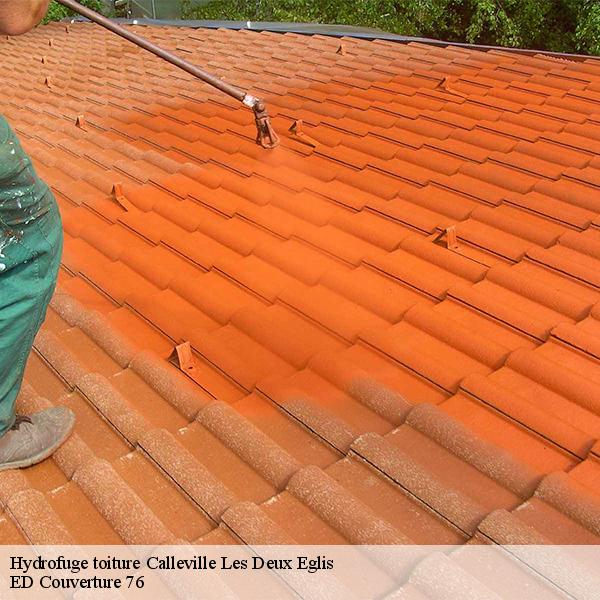 Hydrofuge toiture calleville-les-deux-eglis-76890 ED Couverture 76