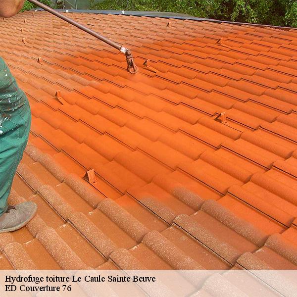 Hydrofuge toiture le-caule-sainte-beuve-76390 ED Couverture 76