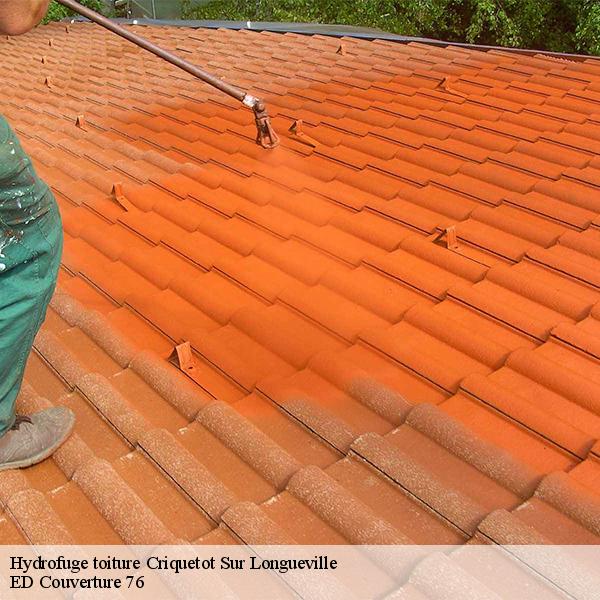 Hydrofuge toiture criquetot-sur-longueville-76590 ED Couverture 76