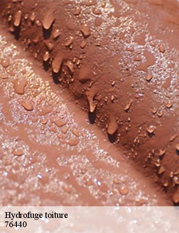Hydrofuge toiture haucourt-76440 ED Couverture 76