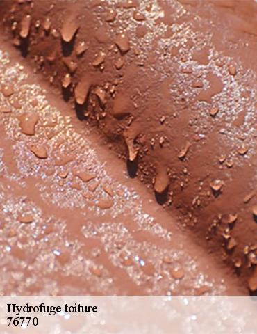 Hydrofuge toiture houppeville-76770 ED Couverture 76