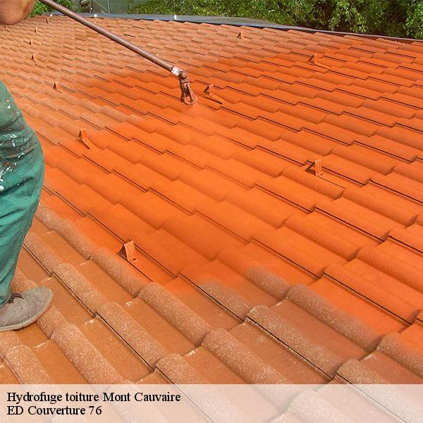 Hydrofuge toiture mont-cauvaire-76690 ED Couverture 76