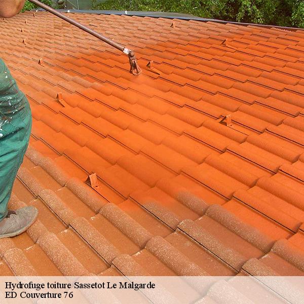 Hydrofuge toiture sassetot-le-malgarde-76730 ED Couverture 76