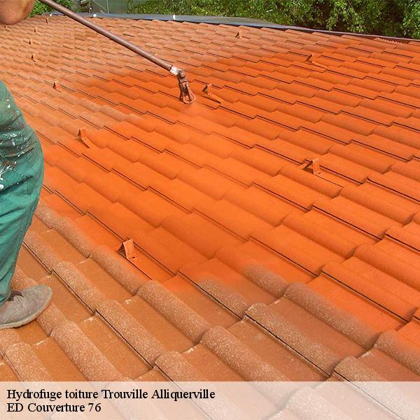Hydrofuge toiture trouville-alliquerville-76210 ED Couverture 76