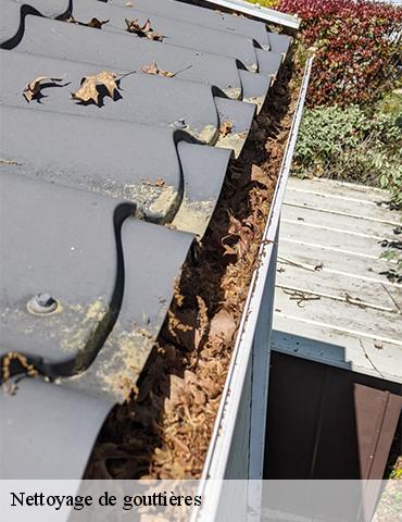 Nettoyage de gouttières veulettes-sur-mer-76450 ED Couverture 76