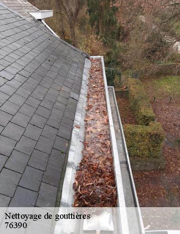 Nettoyage de gouttières vieux-rouen-sur-bresle-76390 ED Couverture 76